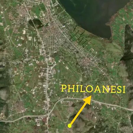 Apartamento Philoanesi Neokesaria Exterior foto
